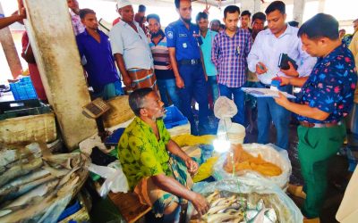 কাউখালীতে মাছে রং মিশ্রিত করে বিক্রি করার অপরাধে ভ্রাম্যমান আদালতের অর্থদণ্ড