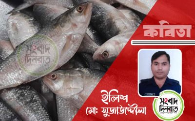 সুজাউদ্দৌলা’র নতুন কবিতা— ইলিশ