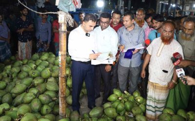 গভীর রাতে ডাবের আড়তে ভোক্তার হানা