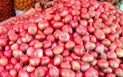 পেঁয়াজ রপ্তানি নিষিদ্ধ করল ভারত
