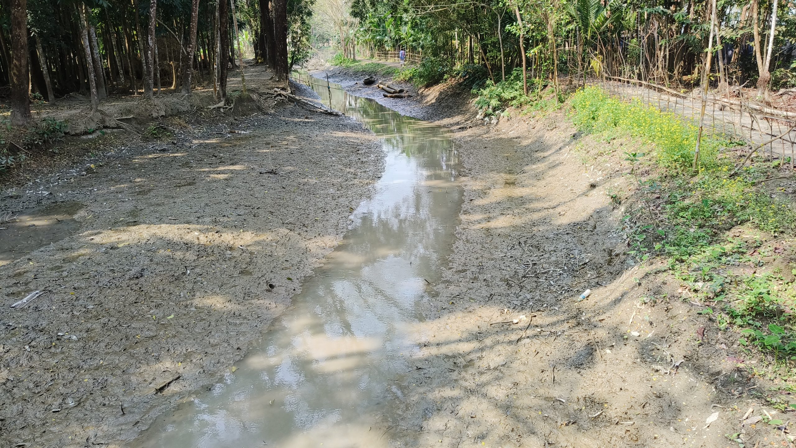 খাল আছে পানি নেই, দুর্ভোগে জনসাধারণ !