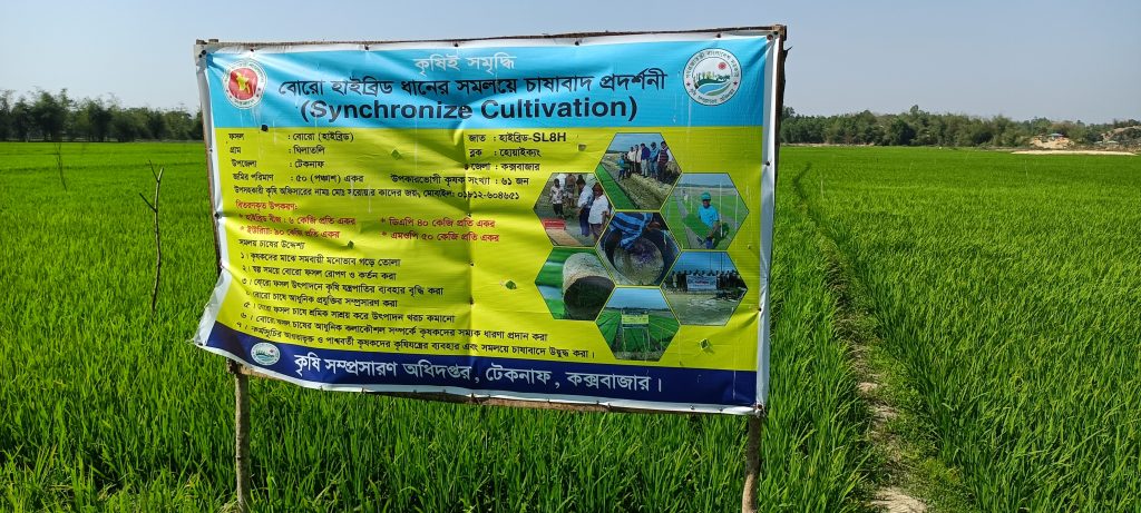 টেকনাফে বুরো হাইব্রিড ধানের সমলয়ে চাষাবাদ প্রকল্পে ১৪ লক্ষ ২৮ হাজার টাকা লুটপাটের আশংকা