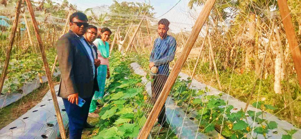 কাউখালীতে কৃষির মাধ্যমে নিজেকে স্বাবলম্বী করেছেন কৃষি উদ্যোক্তা অমিত