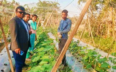 কাউখালীতে কৃষির মাধ্যমে নিজেকে স্বাবলম্বী করেছেন কৃষি উদ্যোক্তা অমিত