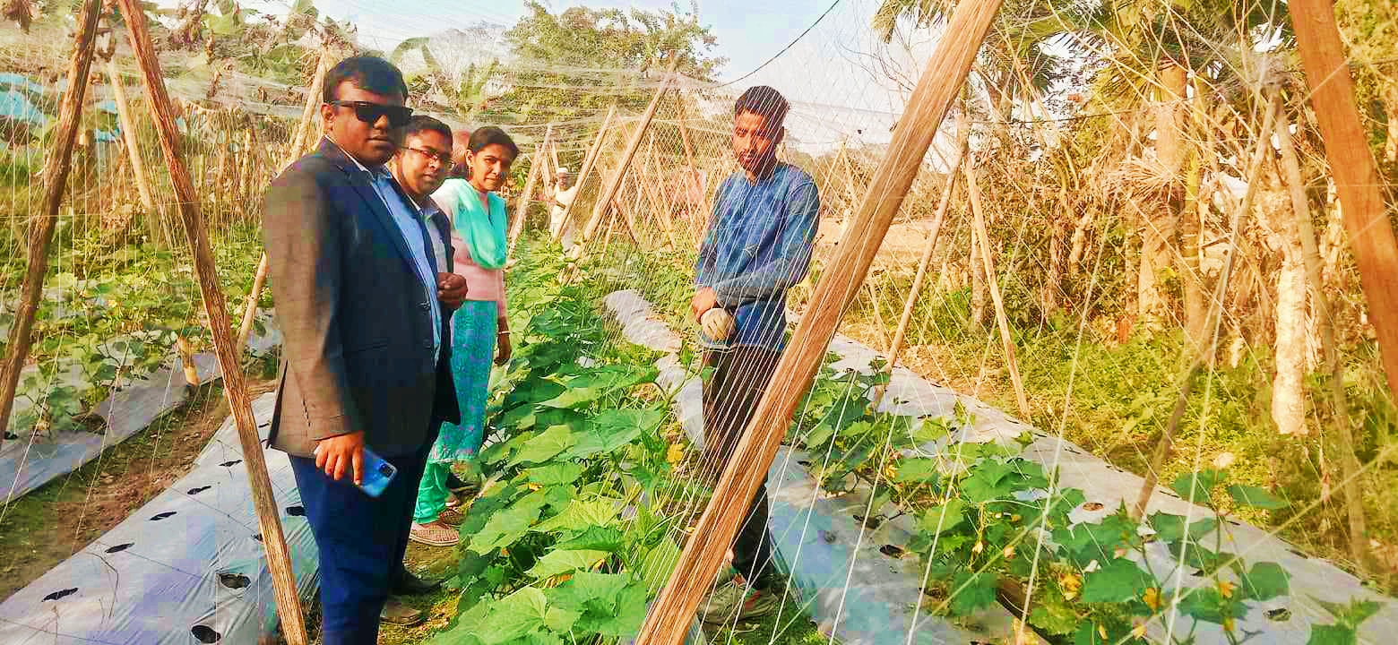 কাউখালীতে কৃষির মাধ্যমে নিজেকে স্বাবলম্বী করেছেন কৃষি উদ্যোক্তা অমিত