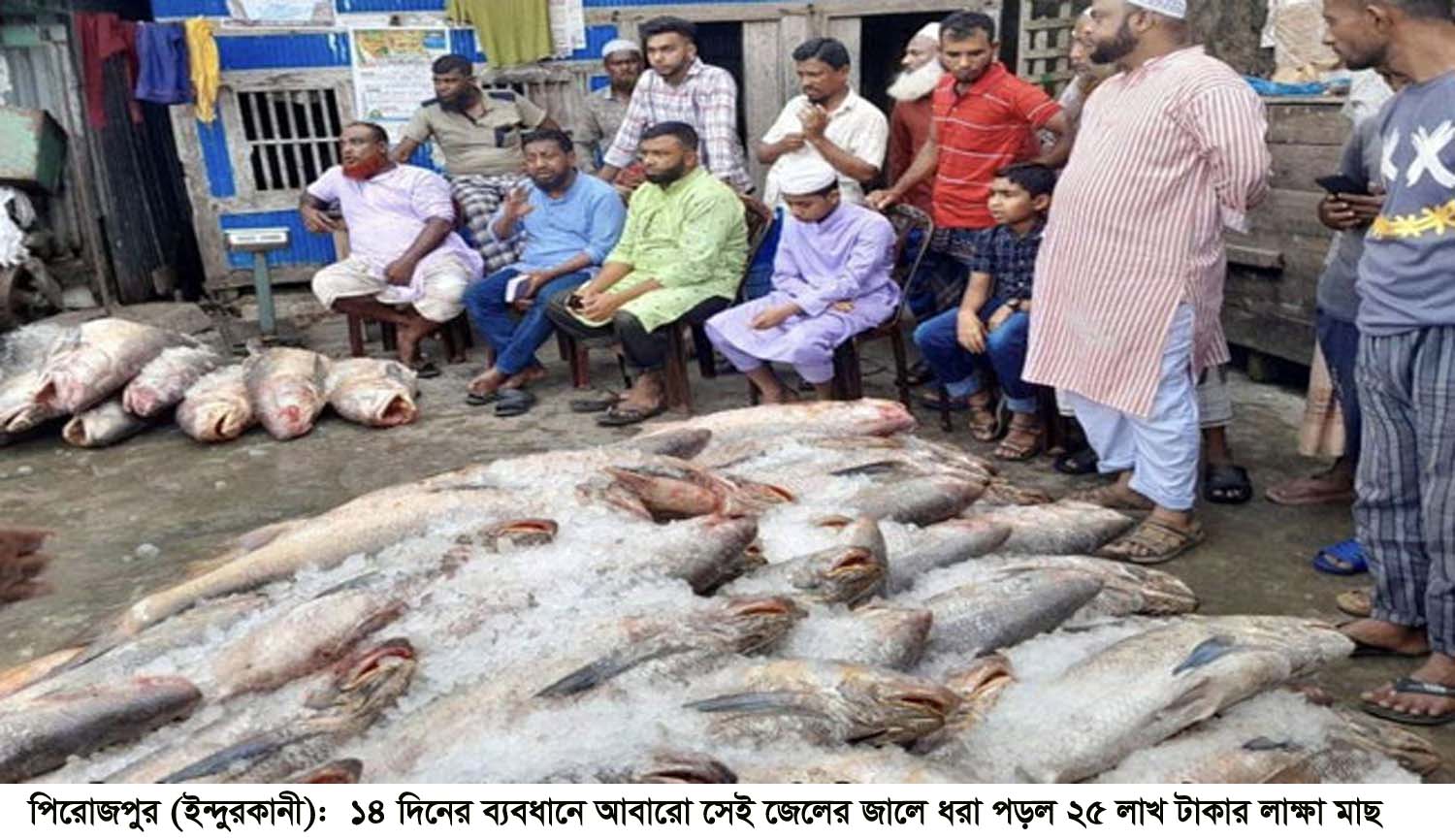 পিরোজপুরে ধরা পড়ল ২৫ লাখ টাকার লাক্ষা মাছ