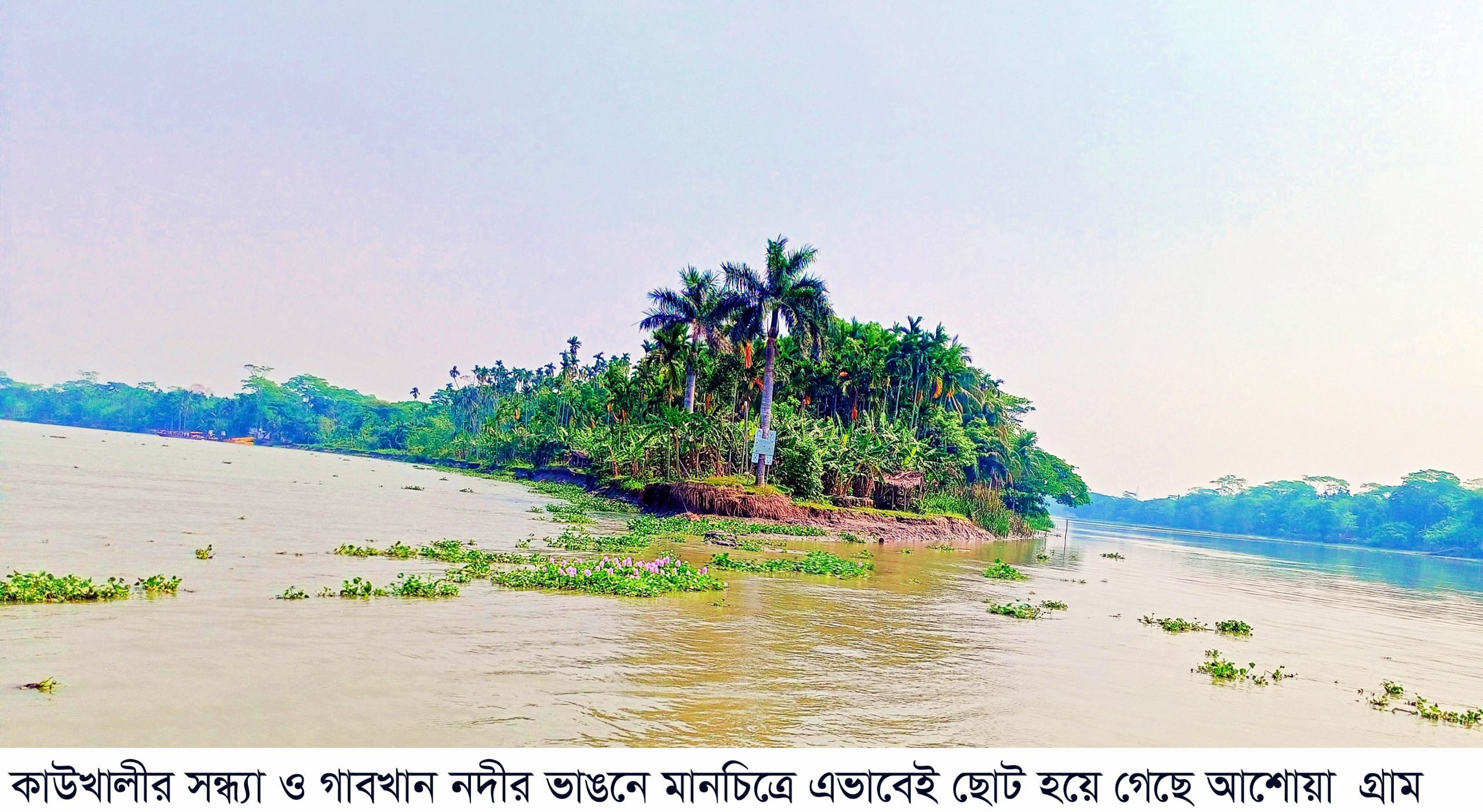 সন্ধ্যা ও গাবখান নদীর কড়াল গ্রাসে কাউখালীর মানচিত্র থেকে হারিয়ে যাচ্ছে আশোয়া গ্রাম