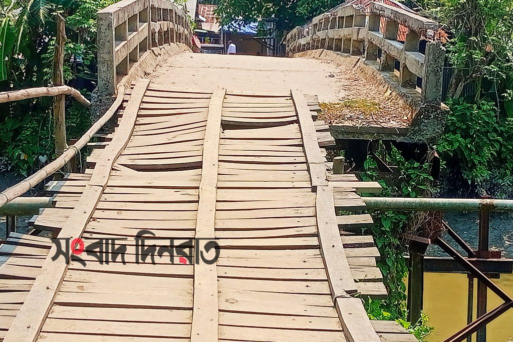 কাউখালীতে জীবনের ঝুঁকি নিয়ে সাঁকো পার হচ্ছে এলাকাবাসী