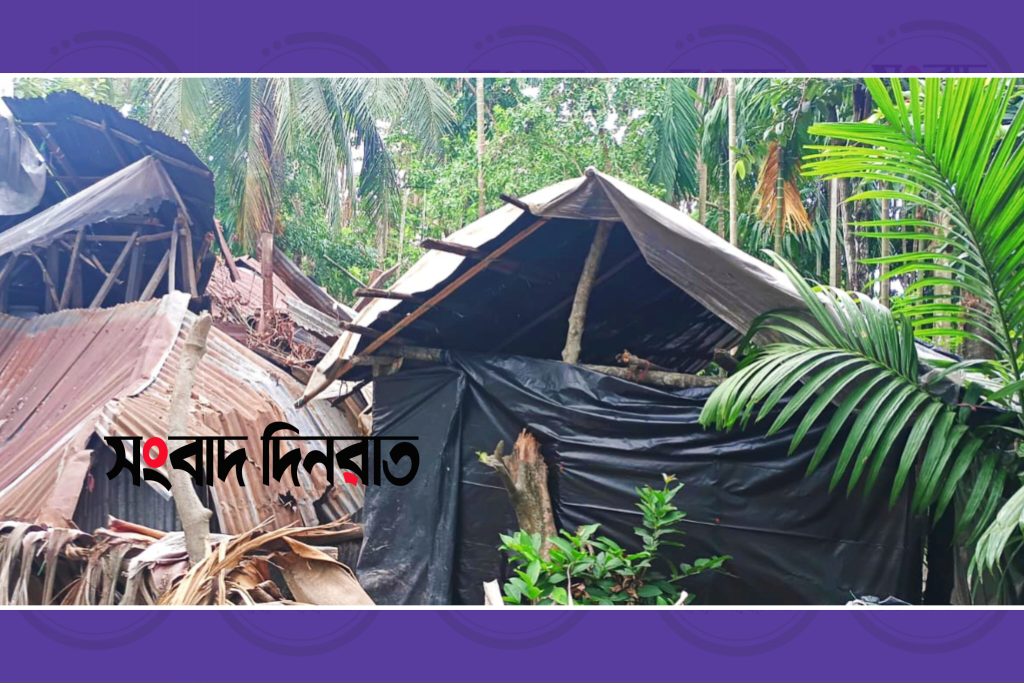 কাউখালীতে পলিথিন দিয়ে ঘর তৈরি করে বসবাস এক অসহায় দিনমজুরের