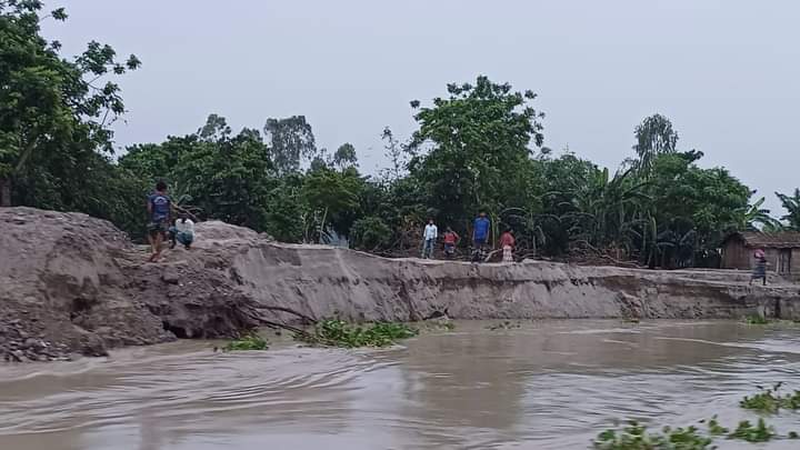 বগুড়ার সারিয়াকান্দিতে বিপদ সীমার ২৫ সেঃ মিঃ উপর দিয়ে প্রবাহিত হচ্ছে যমুনার পানি; ভাঙ্গন অব্যাহত