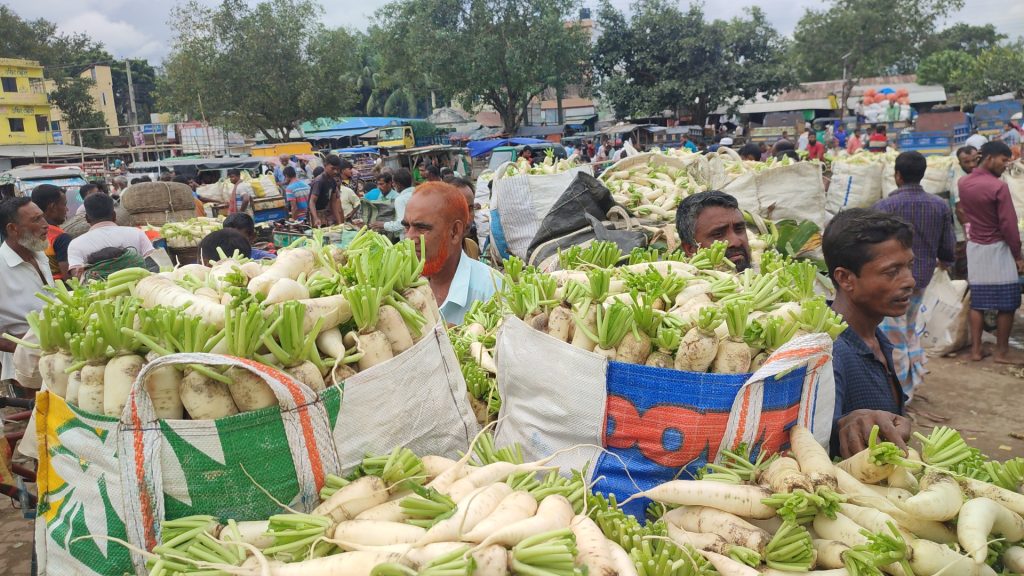 ক্রেতারা দামে অস্বস্তি হলেও, আগাম সবজি’র চড়া দাম পেয়ে আনন্দিত কৃষকরা