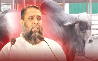 সাদিক অ্যাগ্রোর চেয়ারম্যান ইমরান গ্রেপ্তার