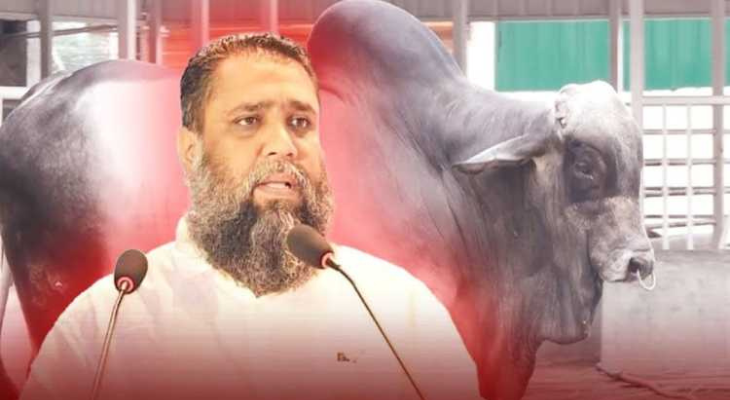 সাদিক অ্যাগ্রোর চেয়ারম্যান ইমরান গ্রেপ্তার
