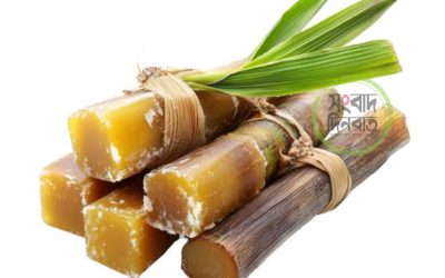 আখের গুড়ের উপকারিতা—অপকারিতা
