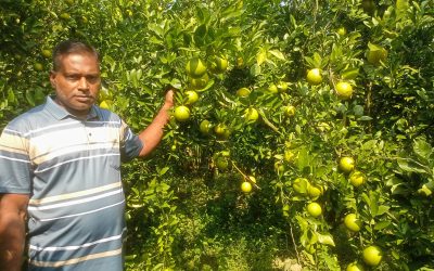 শখের মালটায় ভাগ্য বদল জিয়ার