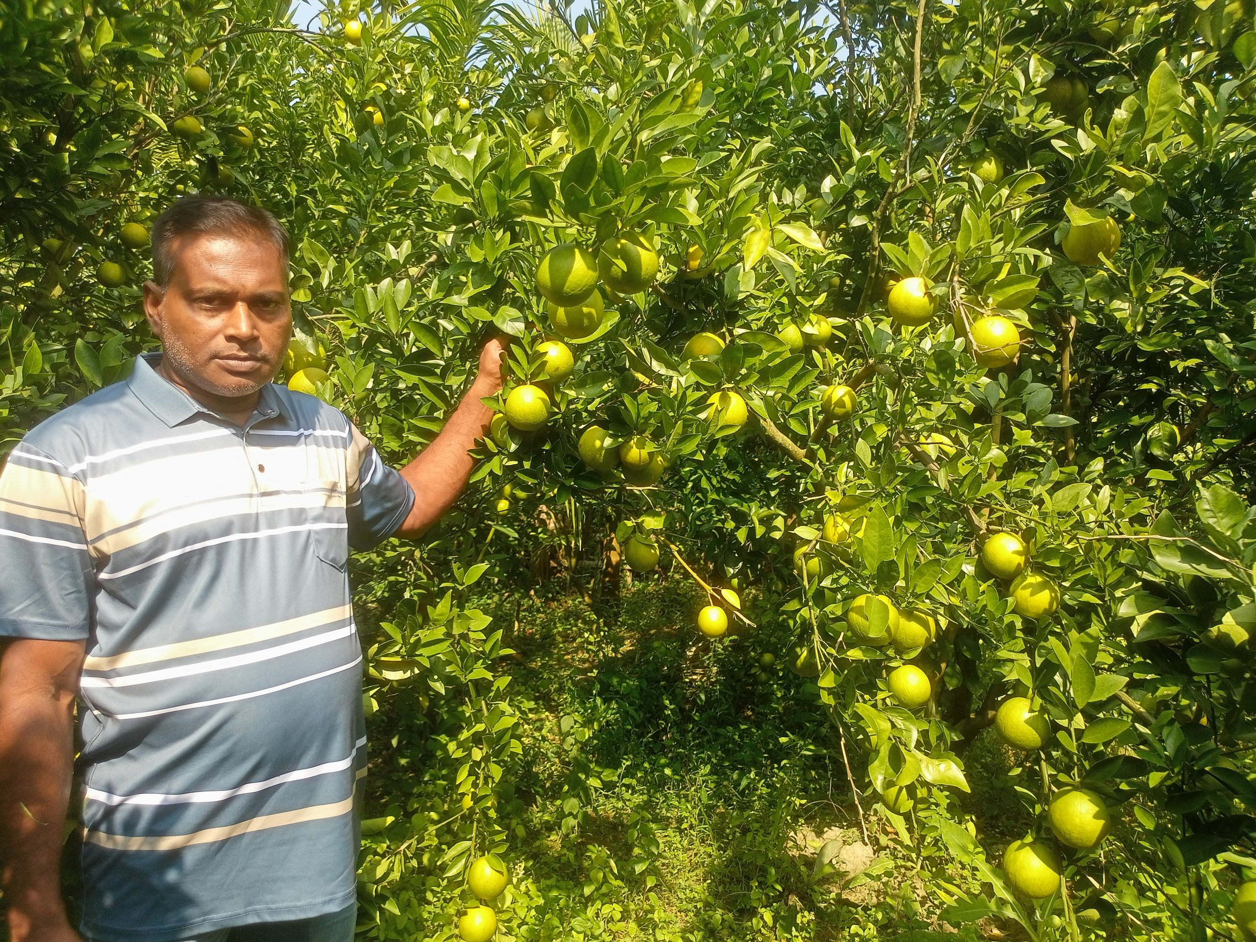 শখের মালটায় ভাগ্য বদল জিয়ার